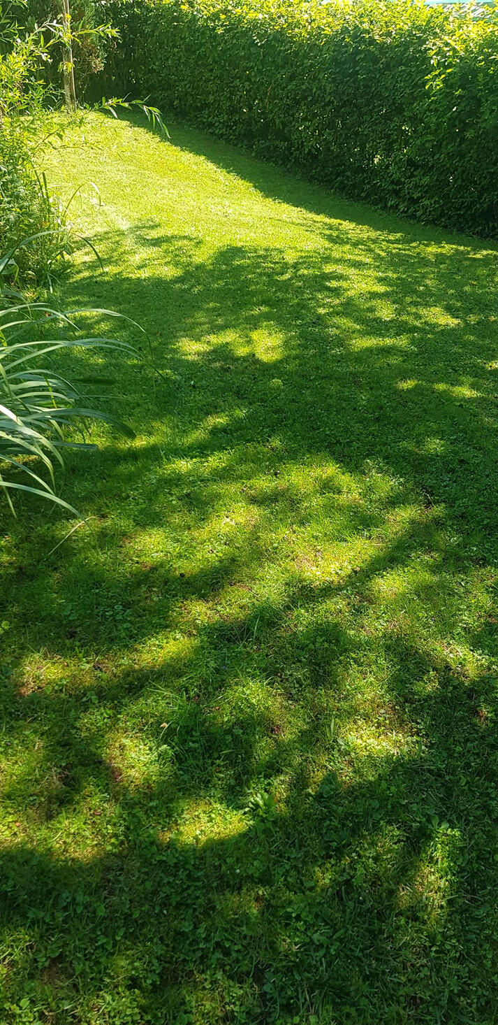 Meine Aufträge